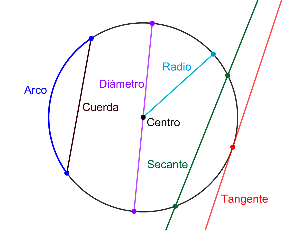 Puntos Y Rectas Notables De La Circunferencia exponty.com